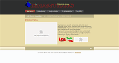 Desktop Screenshot of cihantrans.com